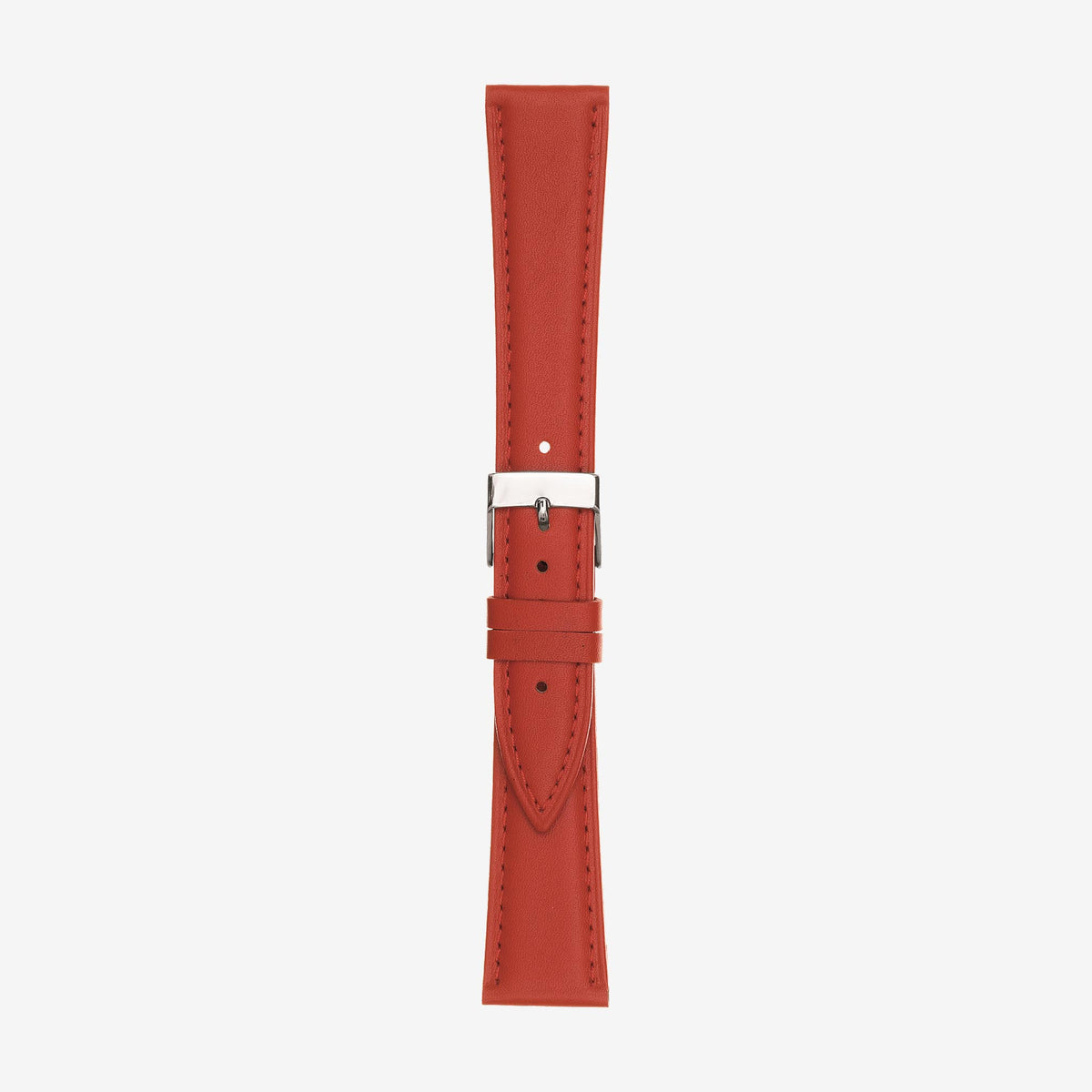 662 Paloma, Cinturino in pelle
